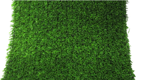 Xgbc - Lawn (540x272), Png Download