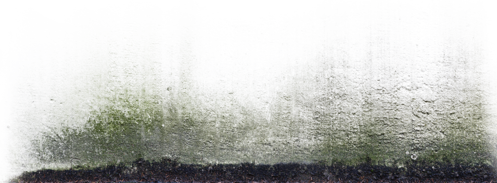 Decalbottom0010 1 S - Decal Bottom Texture (1024x377), Png Download
