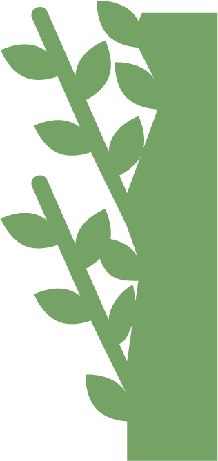 Moss Wall, Living Wall, Live Wall, Green Wall, Plant - Cutline Craft Green Wall Gardening Natural Nature Style (750x688), Png Download