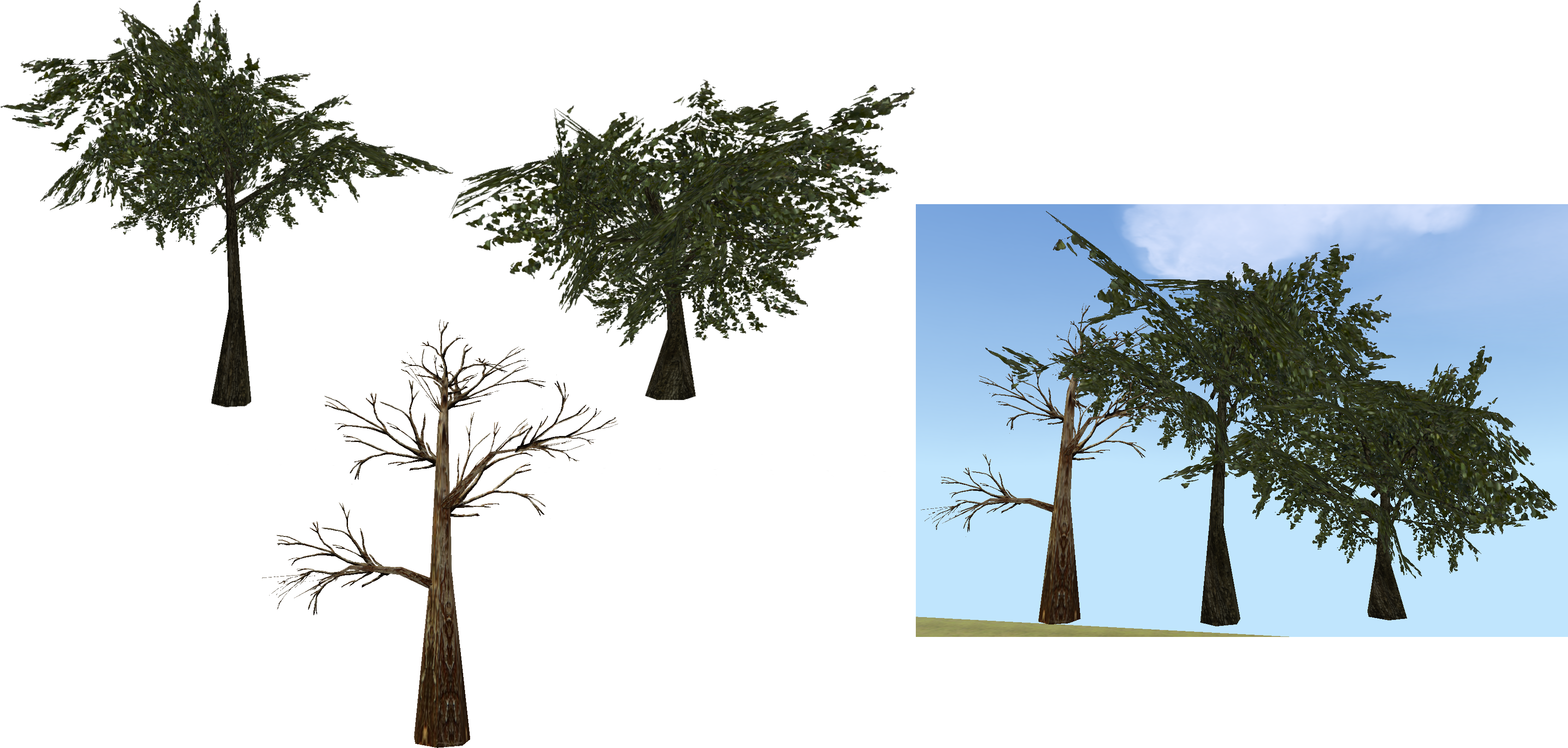 Moss Transparent Tree Png (3401x1730), Png Download