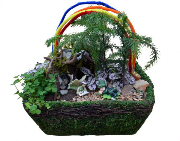 Leprechaun Fairy Garden Workshop - Sageretia Theezans (600x472), Png Download