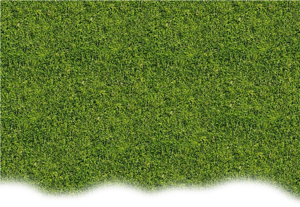 Lawn (960x1200), Png Download