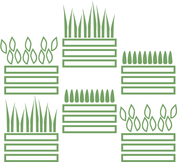 Moss Wall, Living Wall, Live Wall, Green Wall, Plant - Drawing (750x688), Png Download