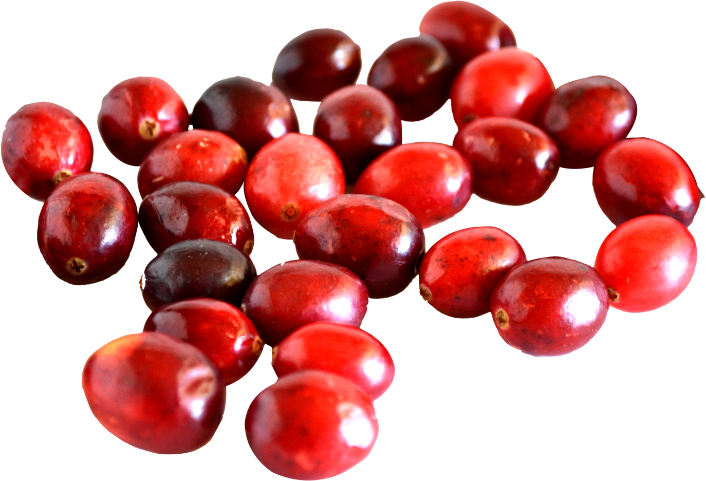 Cranberry Vs Red Currant (1439x1013), Png Download