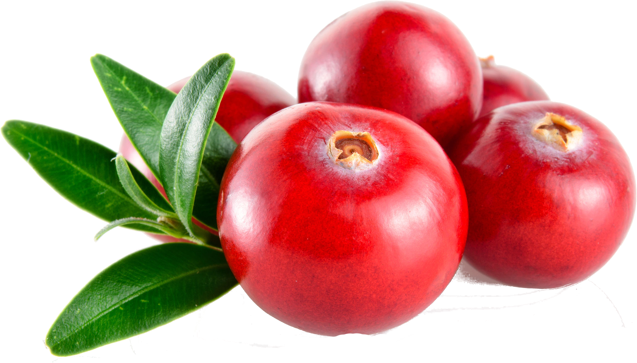 About Cranberries - Transparent Cranberry Clipart (2156x1256), Png Download