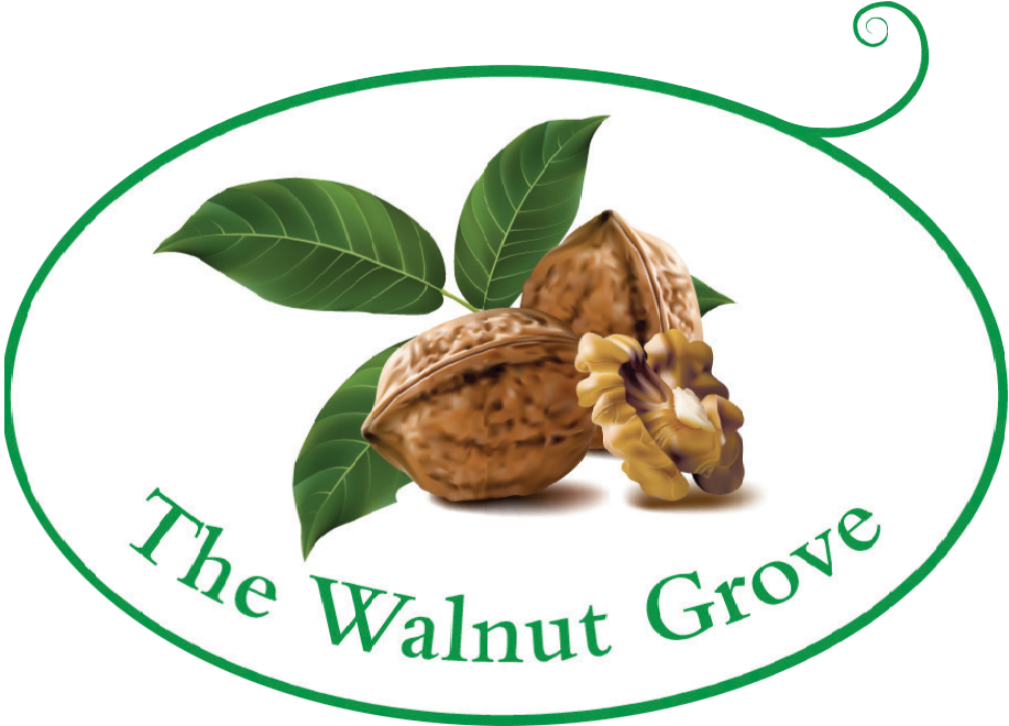 Walnut (934x672), Png Download