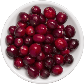 Cranberries - Textile (500x500), Png Download