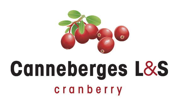 Lingonberry (569x339), Png Download