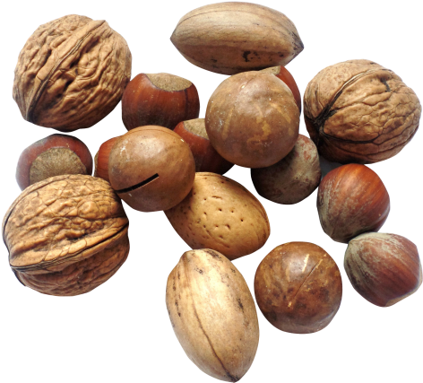 Nut Png Transparent Image - Nut Png (500x441), Png Download