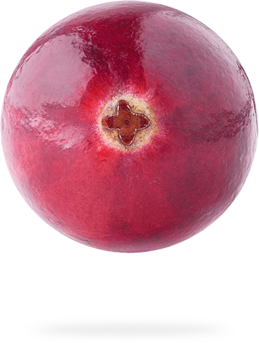 Healthy, Tasty, Low-sugar Snacks - Nectarine (370x490), Png Download