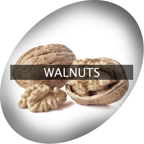 Landingimage Igrow Walnuts - Walnut (480x480), Png Download