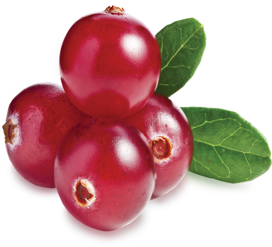 Collection Scent - Cranberries - Cranberry Lamberts (900x900), Png Download