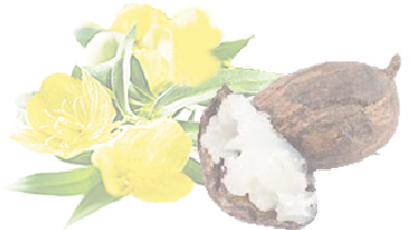 Love Your Skin - Butyrospermum Parkii Butter (447x275), Png Download