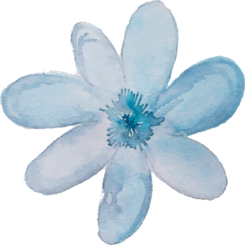 Flower Pattern Flower Calligraphy (480x480), Png Download