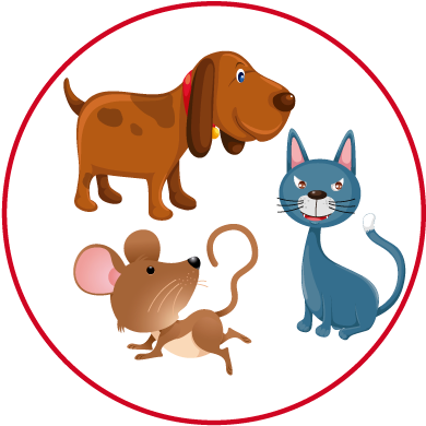Conjunto-animales - Conjunto De Animales Diagrama De Venn (400x400), Png Download