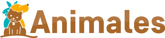 Animales Logo - Graphic Design (700x200), Png Download