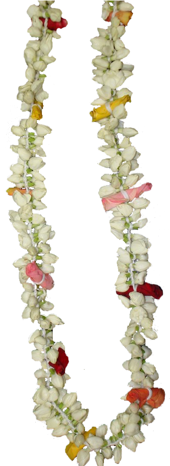 Flower Garland Png - Indian Wedding Garland Png (681x908), Png Download