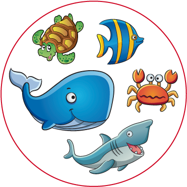 Conjunto Animales Marinos - Conjuntos De Animales Marinos (400x400), Png Download
