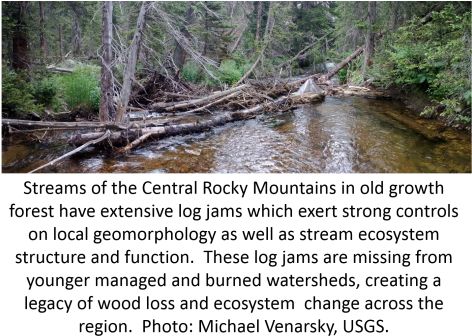 Nutrient Retention And Productivity In Rocky Mountain - Tributary (480x348), Png Download