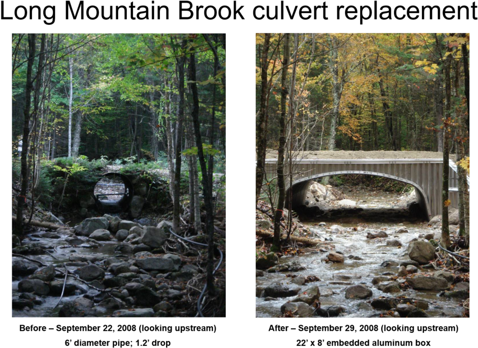 Picture2 - Grove (1000x721), Png Download