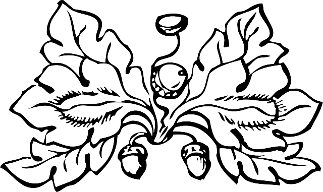 Black, Fall, Outline, Plants, Leaf, White, Border - Autumn Clipart Black And White (640x381), Png Download