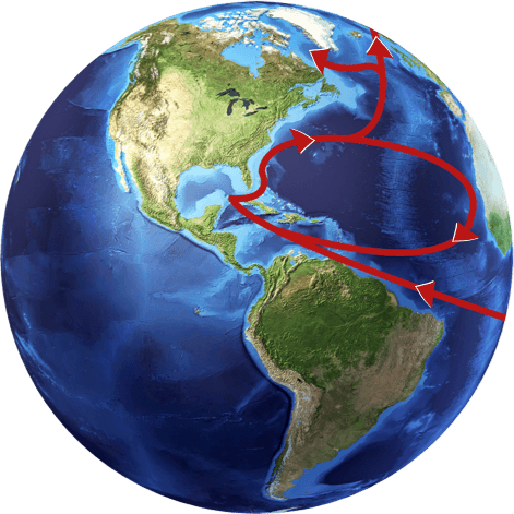 The Amount Of Water Circulating In The Gulf Stream - Earth South America Png (471x471), Png Download