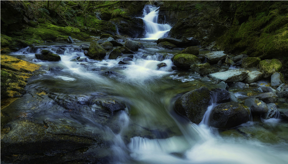 Score 50% (1000x1000), Png Download