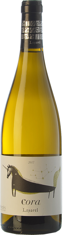 Cora De Loxarel 2017 - Vase (217x800), Png Download