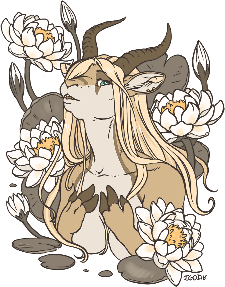 Water Lillies - Cartoon (773x1000), Png Download