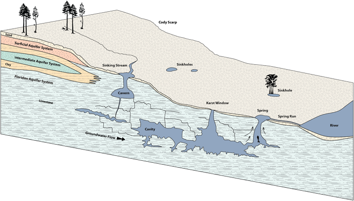 Cross Section - Spring In A River (720x410), Png Download