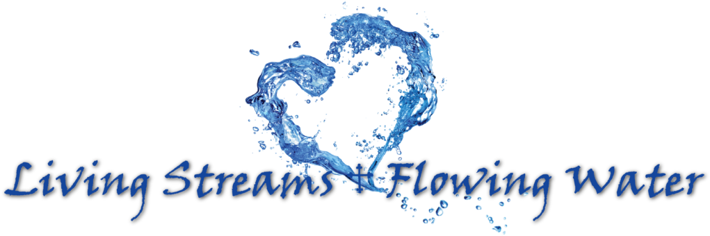 Living Streams Flowing Water - Heart Of A Young Prophet (1024x376), Png Download