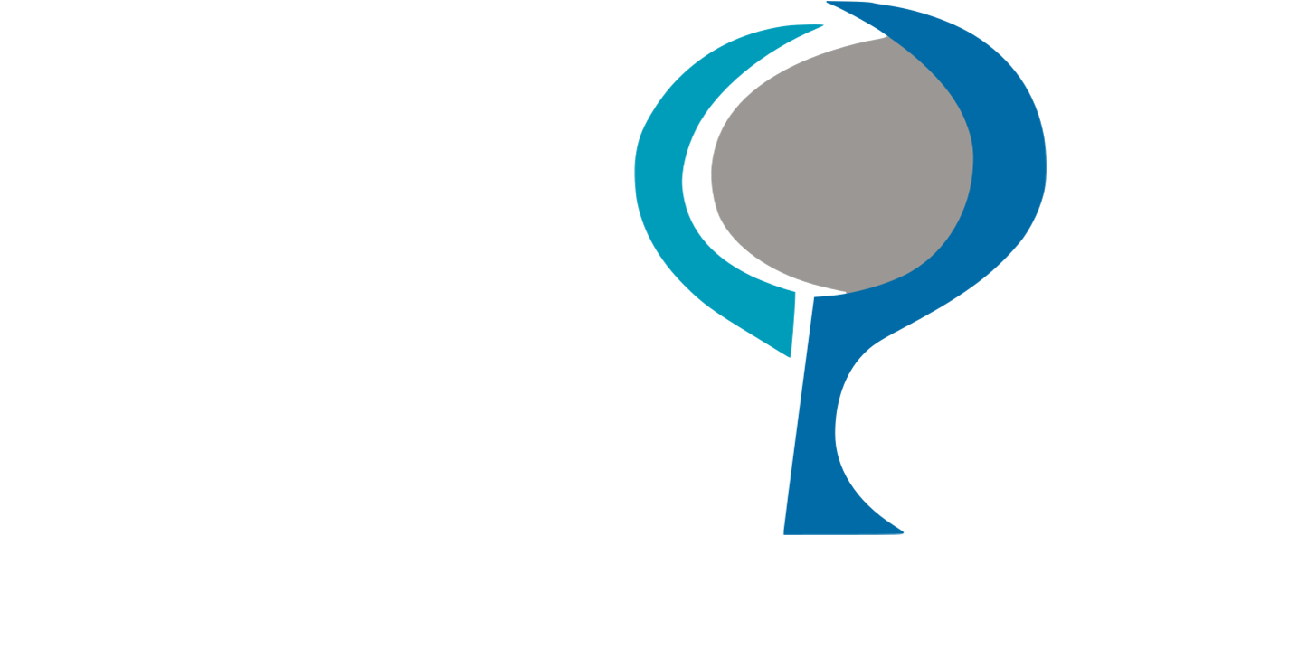 Texas Mutual 2017 Platinum Safety Partner Award (1603x756), Png Download