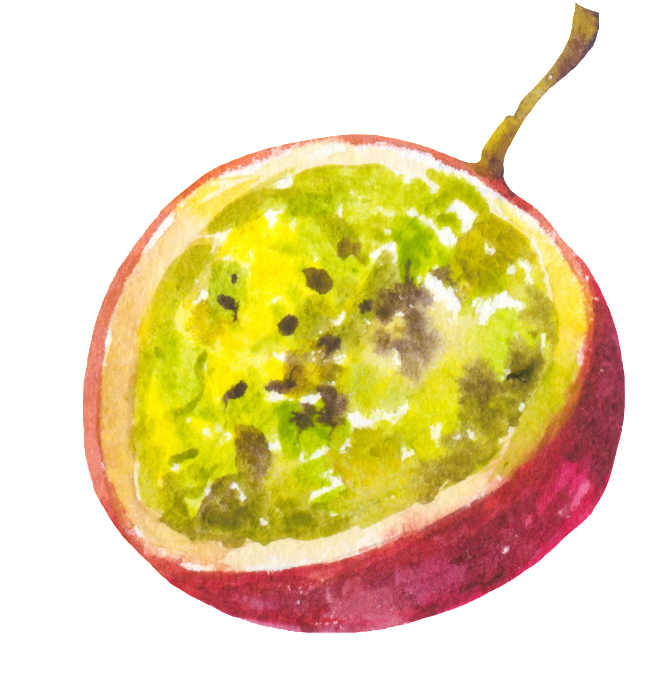 Hand Painted Cut Passion Fruit Png Transparent - Portable Network Graphics (1024x883), Png Download