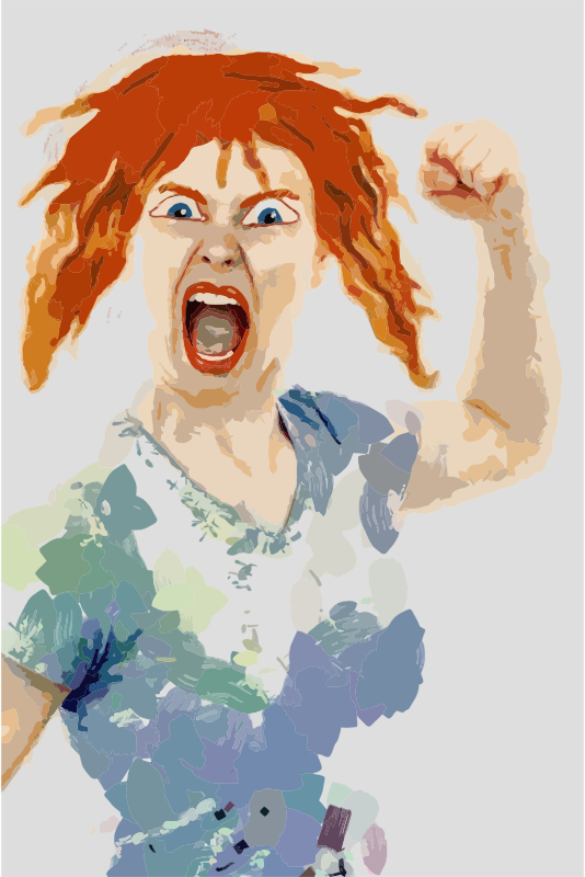 Medium Image - Very Angry Woman (534x800), Png Download