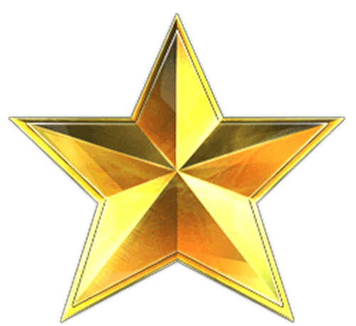 Military Gold Star Png (500x500), Png Download