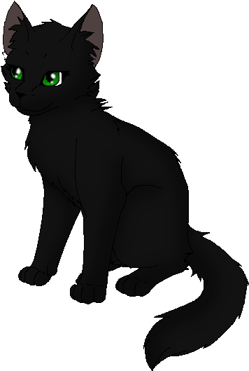 Hollyleaf - Apprentice - Holly Leaf Warrior Cat (509x593), Png Download