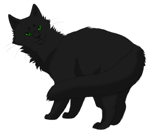 Hollyleaf Forever Warriors Cats 32829084 476 452 - Warrior Cats Transparent Background (476x452), Png Download