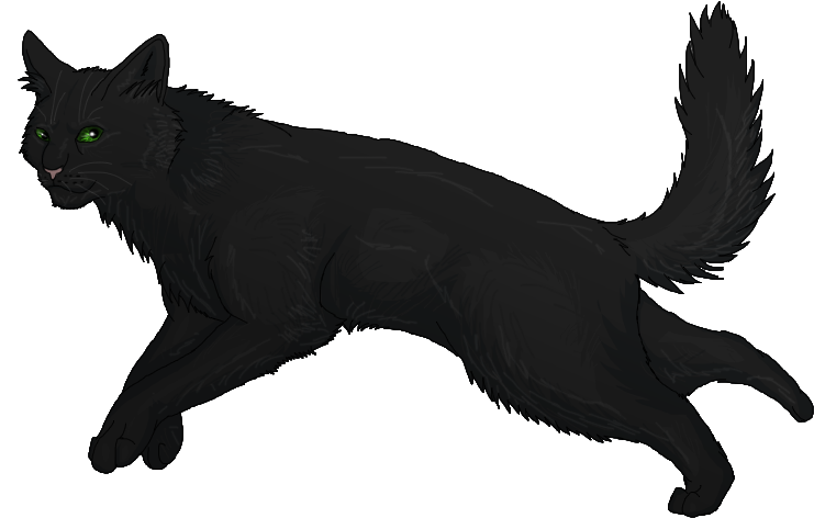 More Like Bamboo By Romantepes - Hollyleaf Clipart Warriors (800x600), Png Download