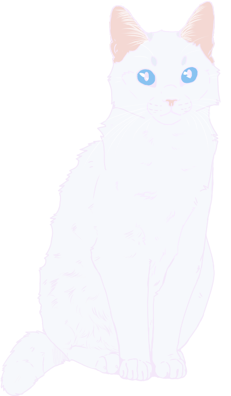Snowberry - Star - Squitten (521x800), Png Download