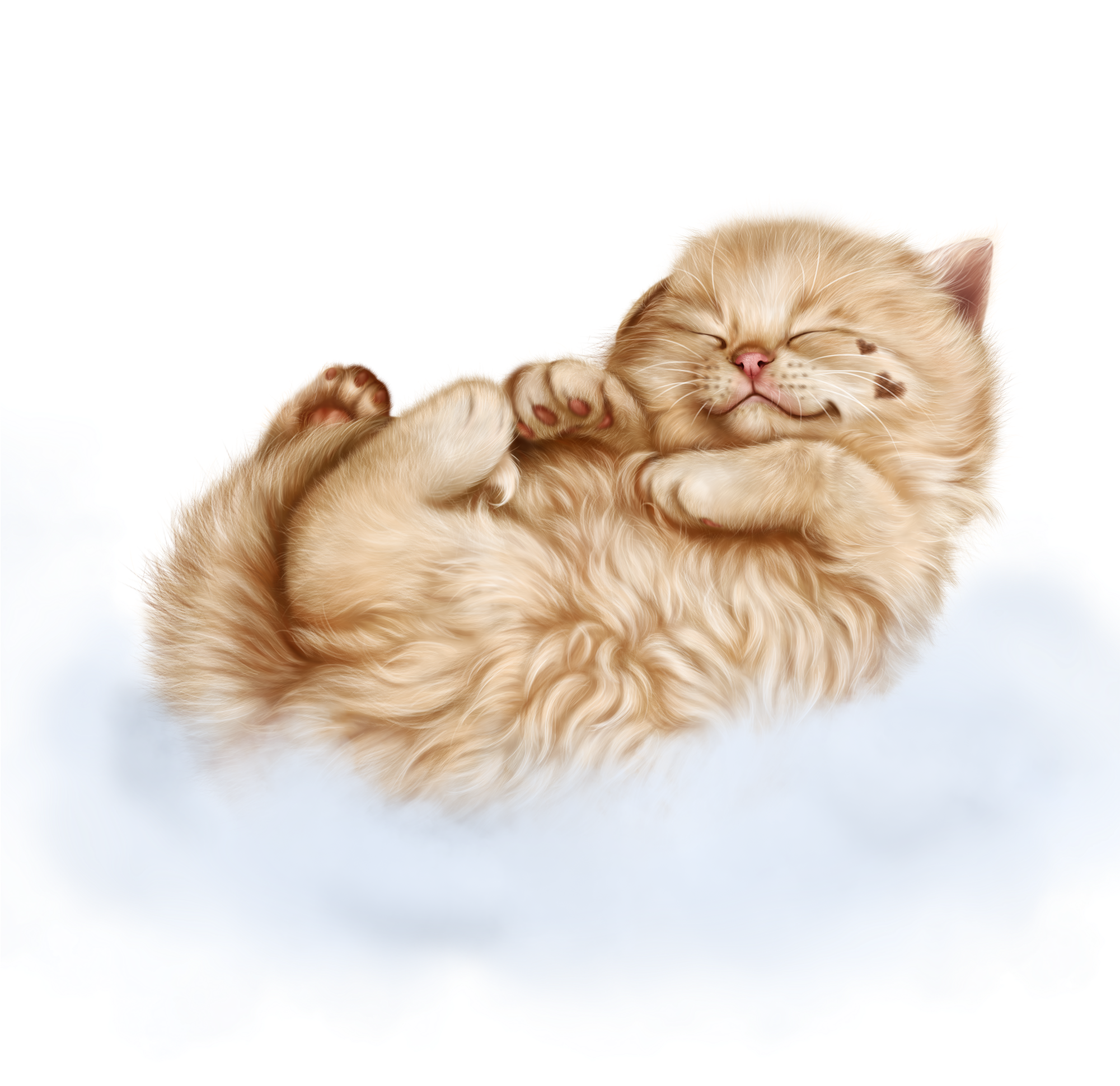 Animal Photography, Cat Clipart, Kitten Wallpaper, - Clip Art (2000x2000), Png Download