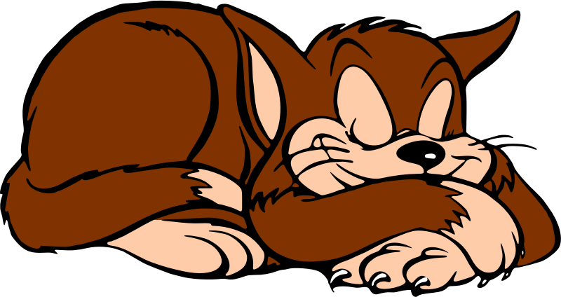 Medium Image - Clipart Of Sleeping Cat (800x424), Png Download