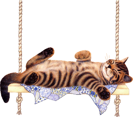 My Cat - 2 Throw Blanket (455x400), Png Download
