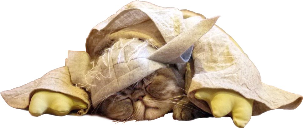 Animala Sleeping Cat - Cat (968x410), Png Download