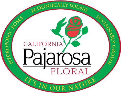 Pajarosa (500x500), Png Download