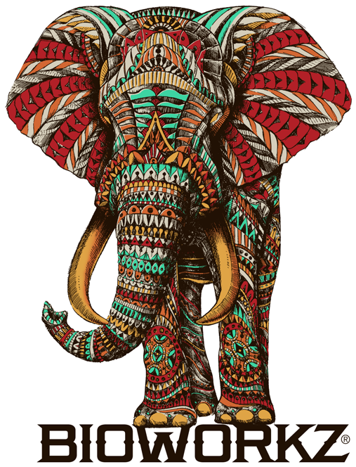 Ornate Elephant Sticker - Elephant Colour In Poster (700x700), Png Download