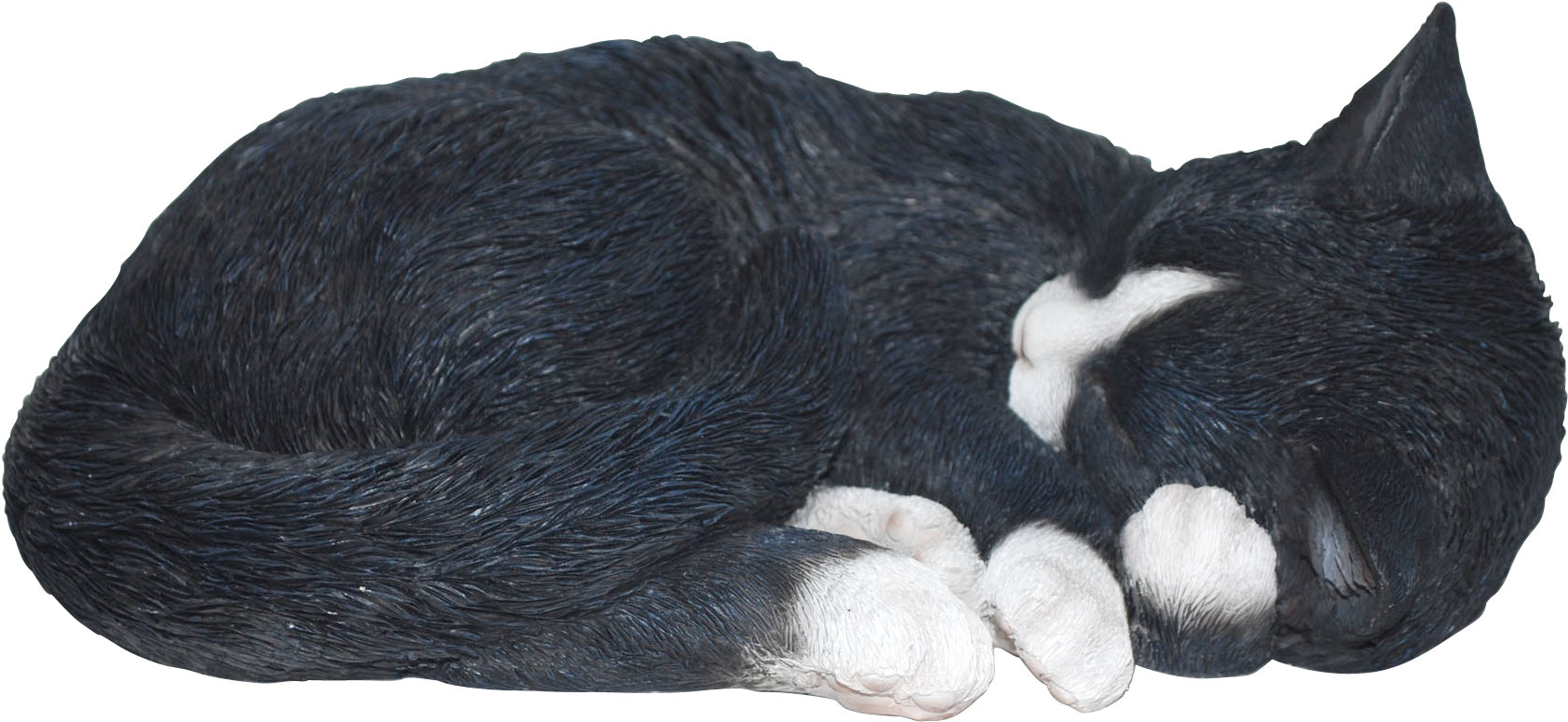 Sleeping Cat Black/whit Real Life Resin Ornament By - Black Cat Sleeping Png (2000x1339), Png Download