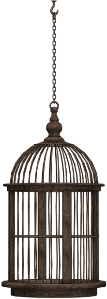 Free Png Bird Cage Png Images Transparent - Hanging Bird Cage Black (850x638), Png Download