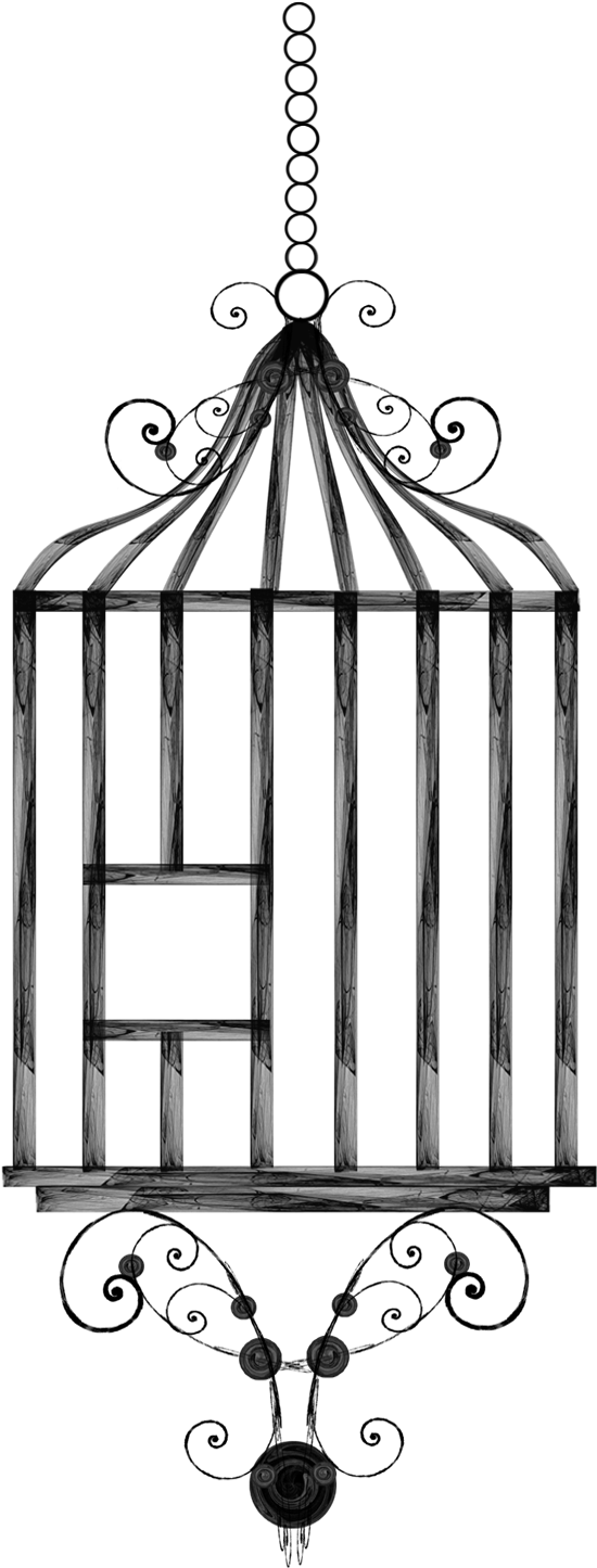 Stock Hanging Birdcage By Rockgem On Deviantart - Birdcage Drawing (549x1701), Png Download