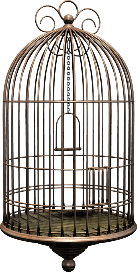 Free Png Bird Cage Png Images Transparent - Dolls House Book Cover Henrikh Ibsen (481x950), Png Download