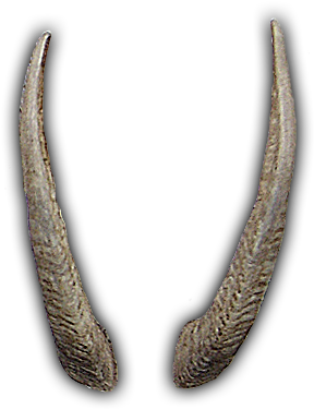 Party Horn Png Horns Related Keywords & Suggestions - Cuernos De Dragon Png (336x388), Png Download